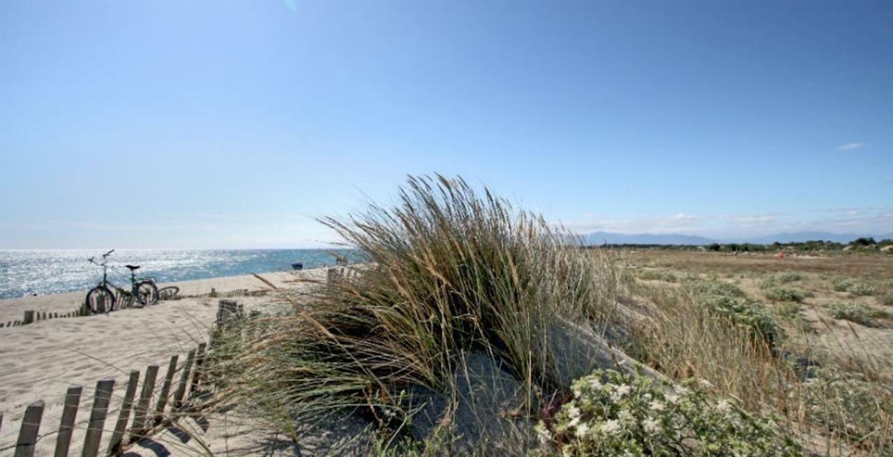 Maison Jardin Wifi - Climatisation - 100 M Plage Sauvage - 20 Min Perpignan Торрей Екстер'єр фото