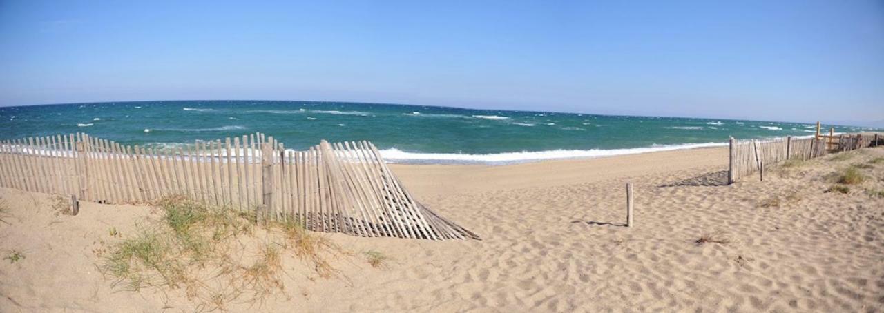 Maison Jardin Wifi - Climatisation - 100 M Plage Sauvage - 20 Min Perpignan Торрей Екстер'єр фото